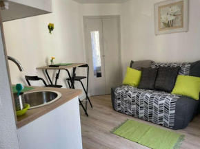 Studio Amélie-les-Bains-Palalda, 1 pièce, 2 personnes - FR-1-659-55